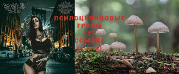 МДПВ Абинск