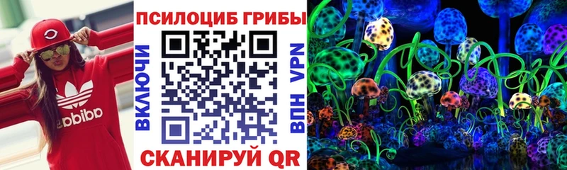 закладка  Железноводск  Псилоцибиновые грибы ЛСД 